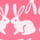 Bummy Wabbit